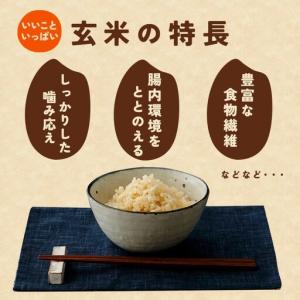 ふるさと納税 玄米 米 30kg にじのきらめ...の詳細画像2