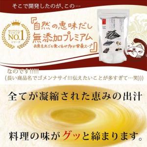 ふるさと納税 【定期便 12回/毎月】自然の恵...の詳細画像4