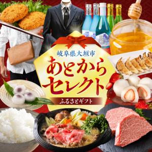 ふるさと納税 あとからセレクト 【岐阜県大垣市】...の商品画像