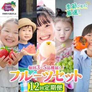 ふるさと納税 【定期便】フルーツセット（12回定期）（茨城県共通返礼品） 茨城県つくばみらい市