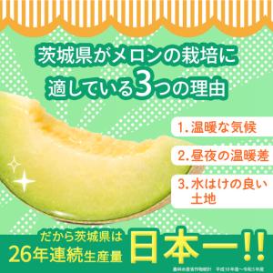 ふるさと納税 【定期便】 アールスメロン 2玉...の詳細画像2