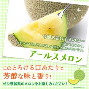 ふるさと納税 【定期便】 アールスメロン 2玉...の詳細画像3