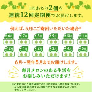 ふるさと納税 【定期便】 アールスメロン 2玉...の詳細画像4