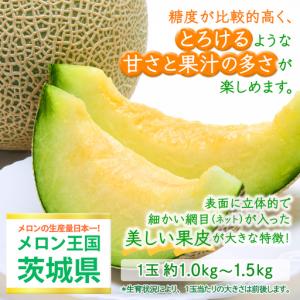 ふるさと納税 【定期便】 アールスメロン 3玉...の詳細画像1