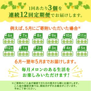 ふるさと納税 【定期便】 アールスメロン 3玉...の詳細画像4