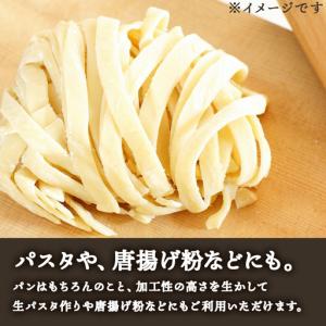 ふるさと納税 6ヵ月定期便 竹内さんちの小麦粉...の詳細画像3