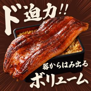 ふるさと納税 うなぎ 訳あり 3尾 計900g...の詳細画像1
