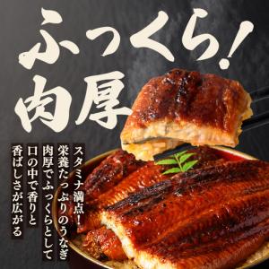 ふるさと納税 うなぎ 訳あり 3尾 計900g...の詳細画像2
