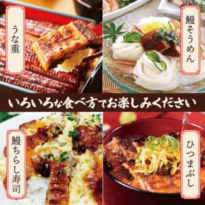 ふるさと納税 うなぎ 訳あり 3尾 計900g...の詳細画像3