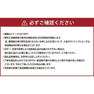 ふるさと納税 【年6回定期便】 くまもとモン ...の詳細画像4