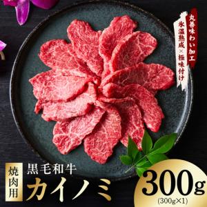 ふるさと納税 【氷温熟成×極味付け】黒毛和牛 カイノミ 焼肉用 300g 大阪府泉佐野市