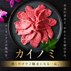 ふるさと納税 【氷温熟成×極味付け】黒毛和牛 ...の詳細画像2