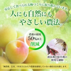 ふるさと納税 梅干し 無添加 訳あり はちみつ...の詳細画像2