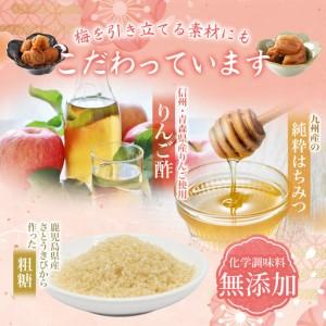 ふるさと納税 梅干し 無添加 訳あり はちみつ...の詳細画像4