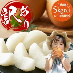 ふるさと納税 DS-21　わけあり梨（新甘泉・秋甘泉） 5kg 鳥取県大山町