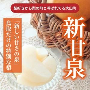 ふるさと納税 DS-21 わけあり梨(新甘泉・...の詳細画像2