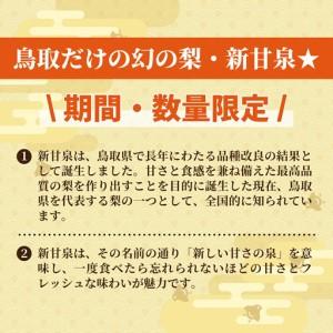 ふるさと納税 DS-21 わけあり梨(新甘泉・...の詳細画像3
