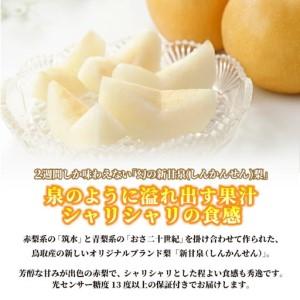 ふるさと納税 DS-21 わけあり梨(新甘泉・...の詳細画像4