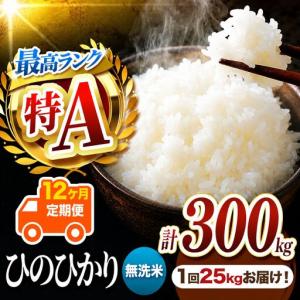 ふるさと納税 【 定期便 12回 】 熊本県産 無洗米 ひのひかり 25kg 熊本県玉名市