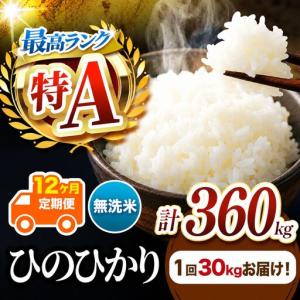 ふるさと納税 【 定期便 12回 】 R7年産 熊本県産 無洗米 ひのひかり 30kg 熊本県玉名市