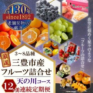 ふるさと納税 三豊市産の厳選フルーツ詰合せ♪【天の川コース】 香川県三豊市