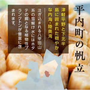 ふるさと納税 青森県 陸奥湾産 1年貝まるごと...の詳細画像3