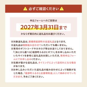 ふるさと納税 【あとから選べる】砥部町ふるさと...の詳細画像4