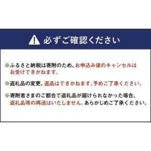 ふるさと納税 【 size53 】 ビアンキ ...の詳細画像3