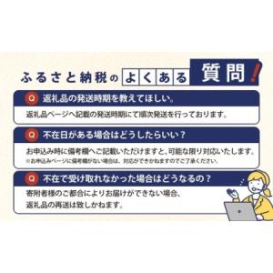 ふるさと納税 【 size53 】 ビアンキ ...の詳細画像4