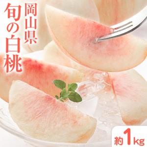 ふるさと納税 桃 岡山県の旬の白桃 約1kg 花田青果株式会社 もも 岡山県浅口市
