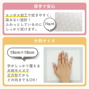 ふるさと納税 【4回定期便】おしり拭き 80枚...の詳細画像1