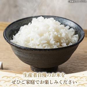 ふるさと納税 【新米先行予約】 令和8年産 お...の詳細画像3