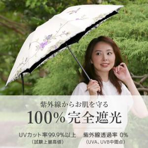 ふるさと納税 【シノワズリーモダン京都】花鳥刺...の詳細画像2