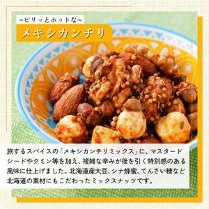 ふるさと納税 北海道十勝 旅するスパイスナッツ...の詳細画像2