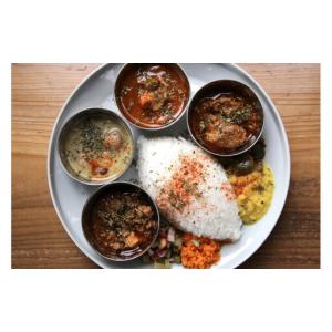 ふるさと納税 カレーライフの冷凍スパイスカレー4種 計9食セット 長崎県