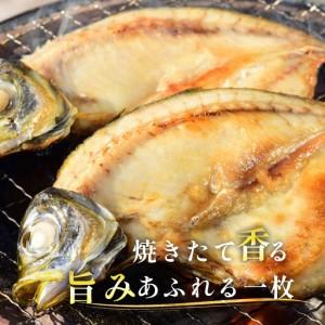 ふるさと納税 あじの開き 恋あじ 大 5枚入り...の詳細画像2