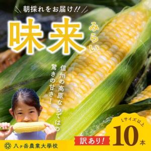ふるさと納税 【訳あり】朝採れ 直送 フルーツの...の商品画像