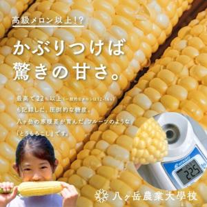 ふるさと納税 【訳あり】朝採れ 直送 フルーツ...の詳細画像2