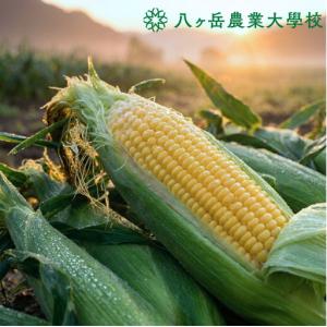 ふるさと納税 【訳あり】朝採れ 直送 フルーツ...の詳細画像4