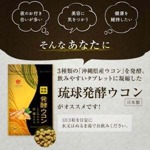 ふるさと納税 《定期便6回 2袋》琉球発酵ウコ...の詳細画像1