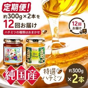 ふるさと納税 【定期便】芳川養蜂場特選ハチミツ 約300g × 2本 × 12回 | ハチミツ はちみつ 蜂蜜 国産 定期便 長野県 信州 木島平村 長野県木島平村