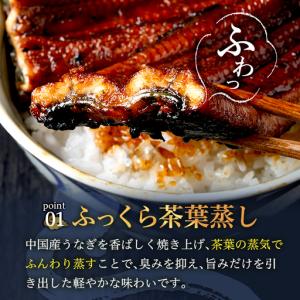 ふるさと納税 <訳あり・規格外> うなぎ 蒲焼...の詳細画像1
