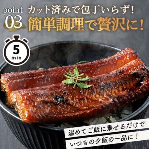 ふるさと納税 <訳あり・規格外> うなぎ 蒲焼...の詳細画像3