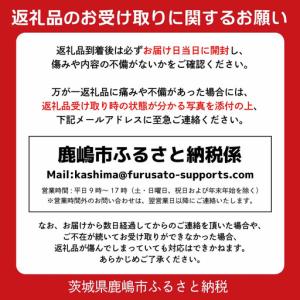 ふるさと納税 多肉植物 アガベ シュリベイ マ...の詳細画像4