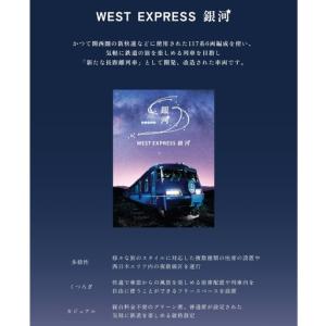 ふるさと納税 ソファー WEST銀河 3人掛け...の詳細画像4