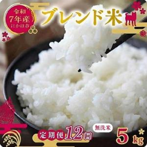 ふるさと納税 【定期便12か月】無洗米 ブレンド米 5kg 令和7年度産 無洗米 秋田県にかほ市