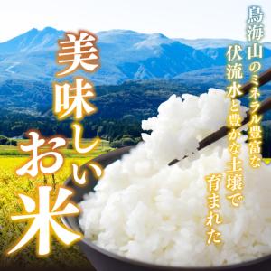 ふるさと納税 【先行予約 定期便10か月】無洗...の詳細画像1