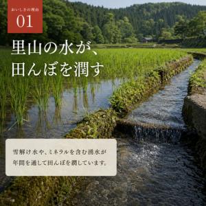 ふるさと納税 【先行予約】新米 にじのきらめき...の詳細画像4