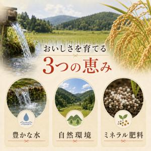 ふるさと納税 【先行予約・定期便3ヶ月】新米 ...の詳細画像3
