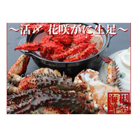 ふるさと納税 【北海道根室産】活〆花咲ガニ生足600g A-57020 北海道根室市